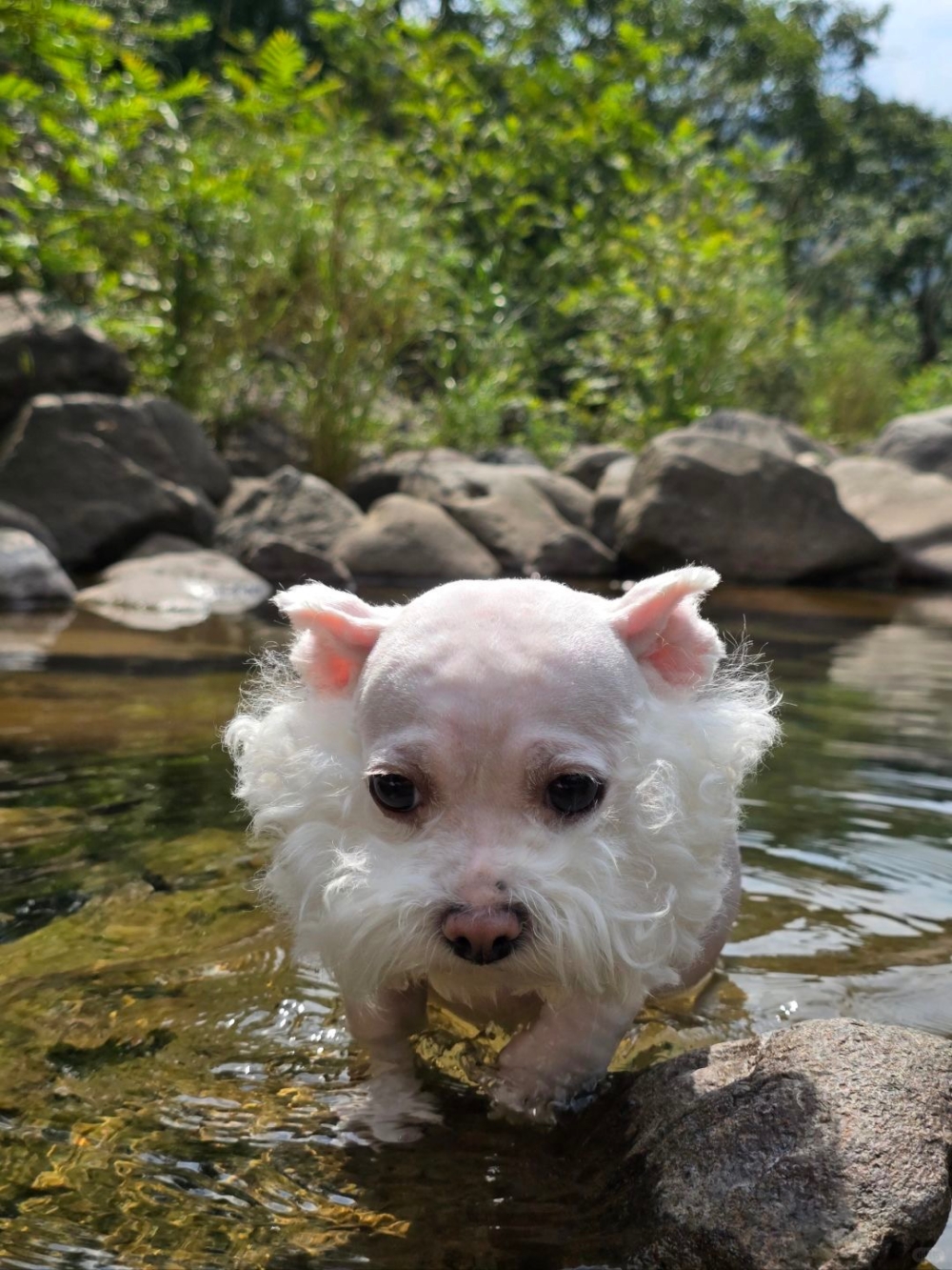 奴才：絕對不行，撒嬌也沒用