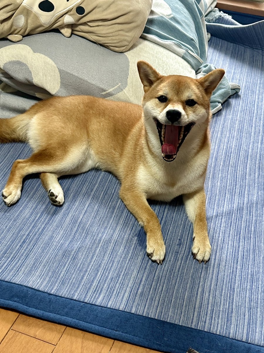 奴才：這麼說也沒錯啦