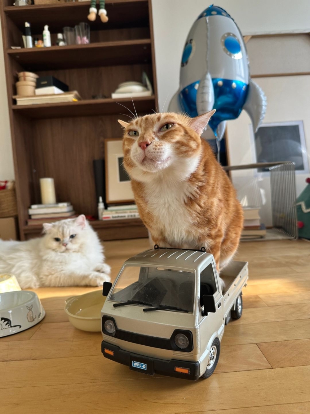 奴才：但載不了你啊