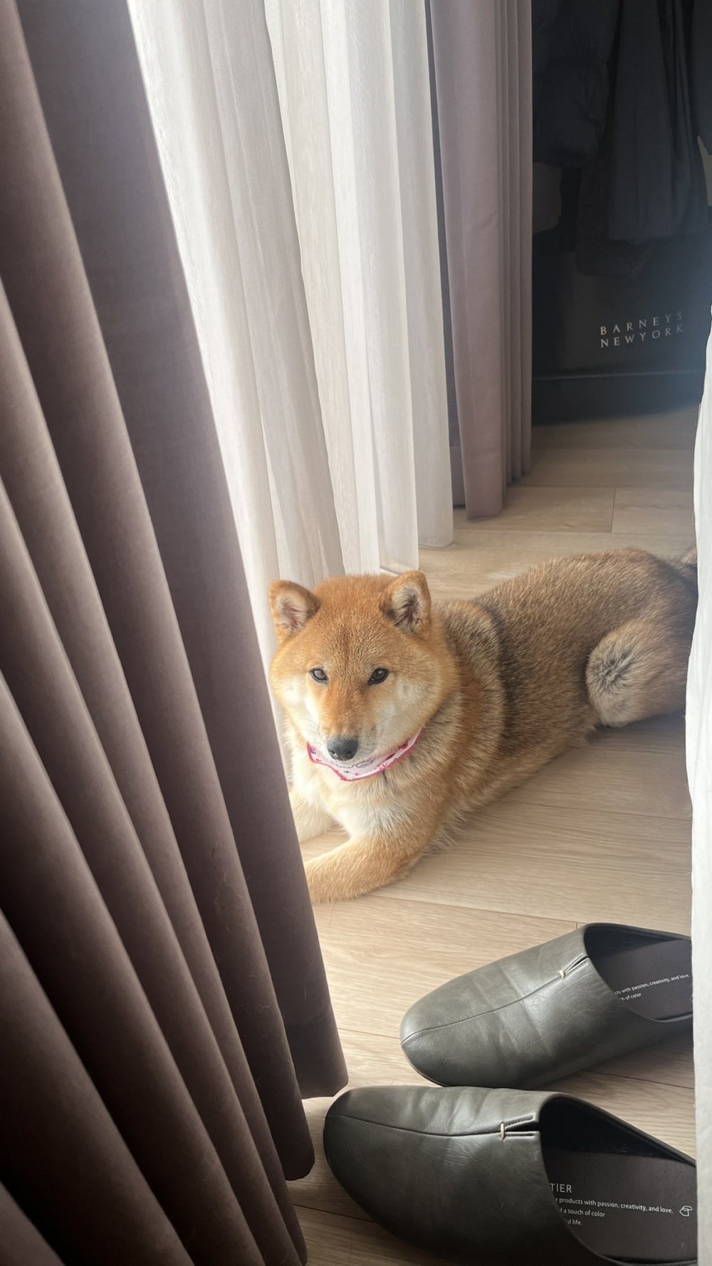 奴才：你幹了什麼好事啊