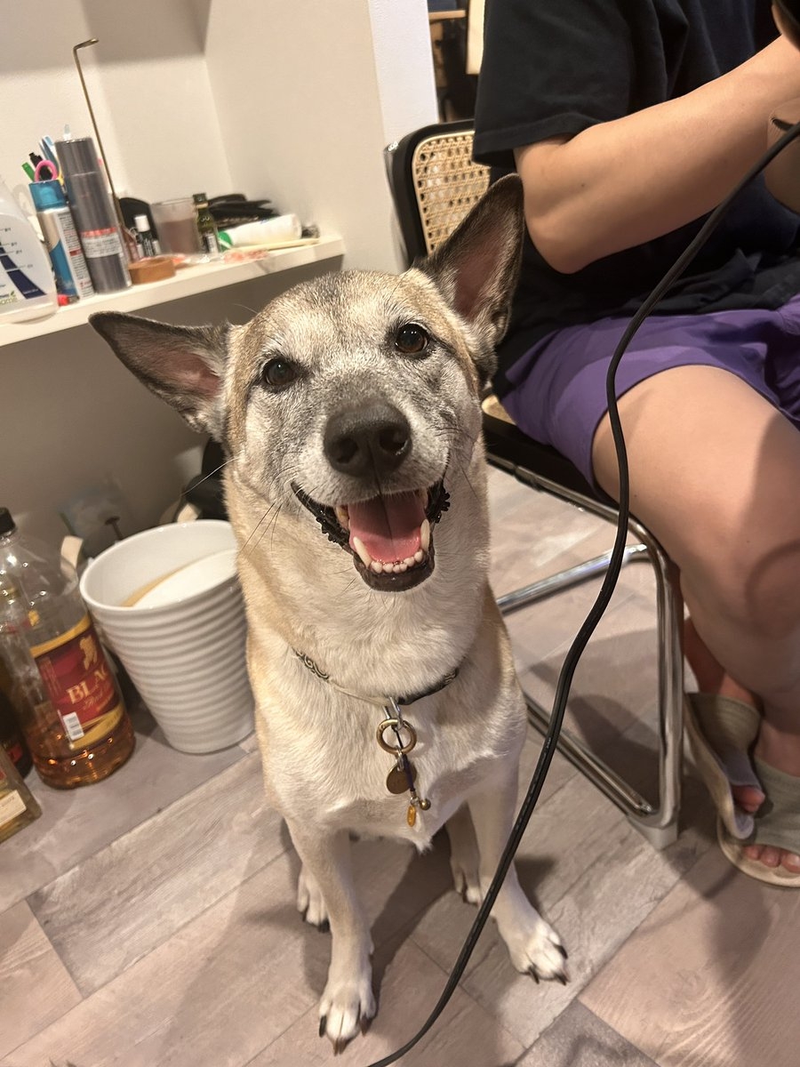 奴才：現在輪到我來收拾了