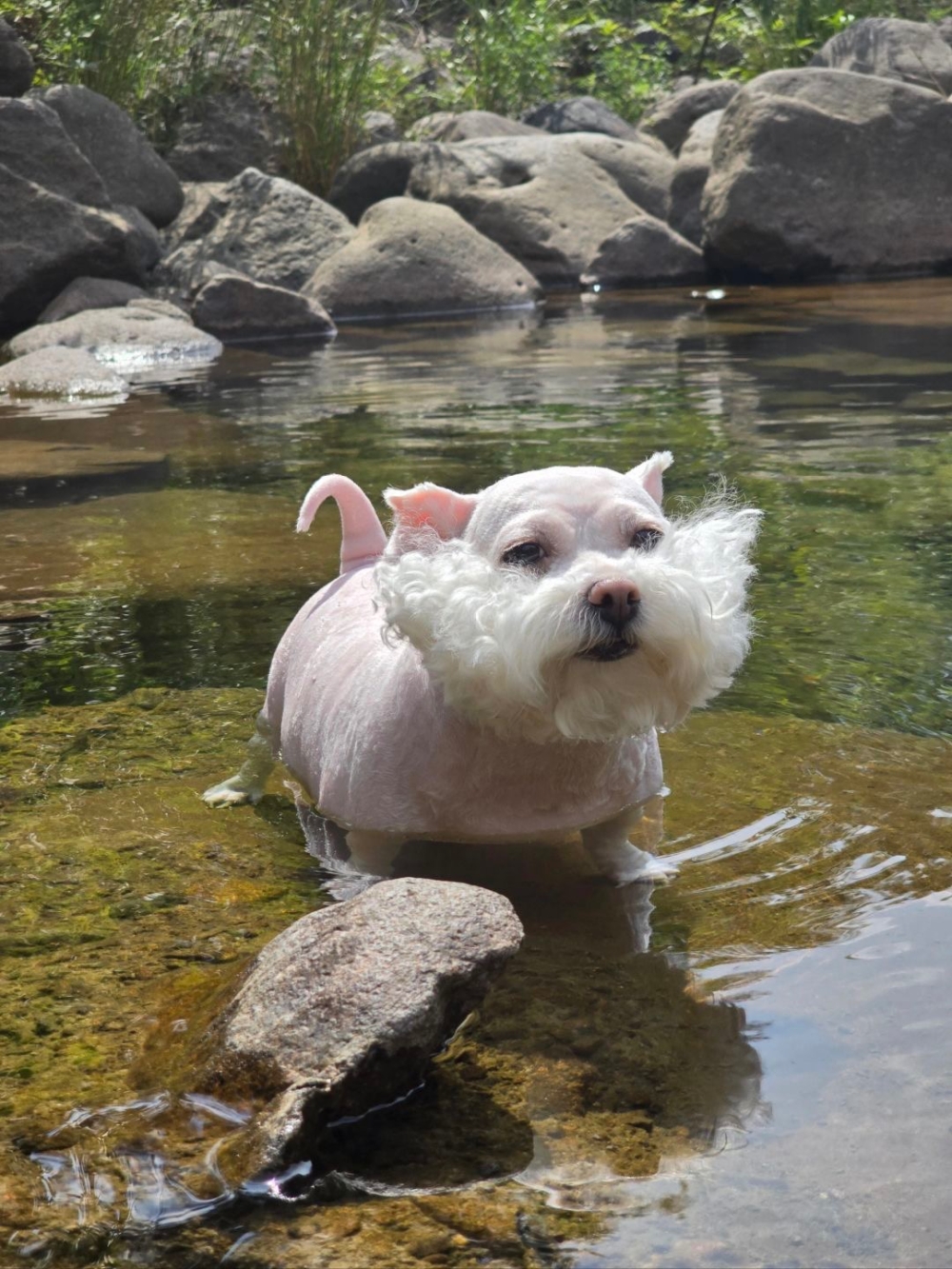 奴才：別說這個了，你快到帳篷裡面來吧