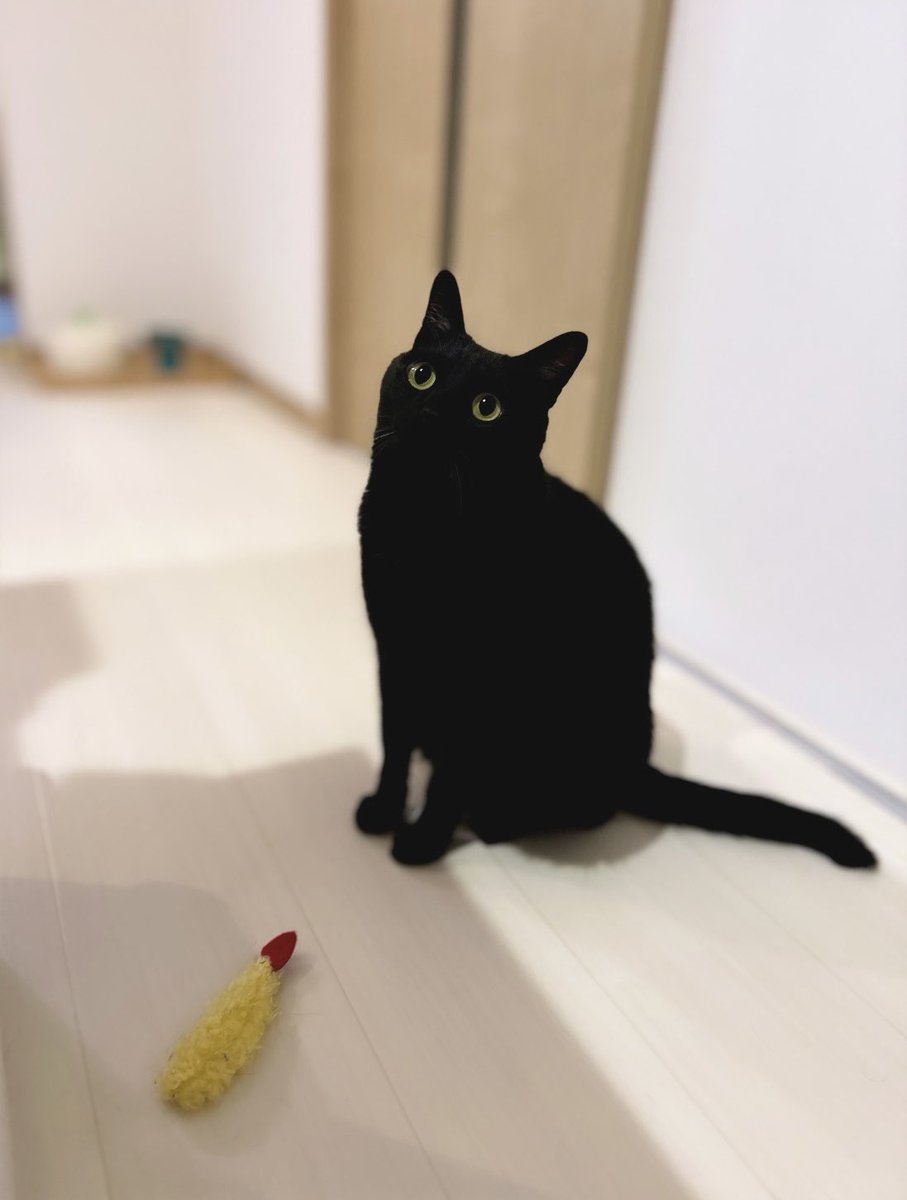 奴才：曬乾就給回你了