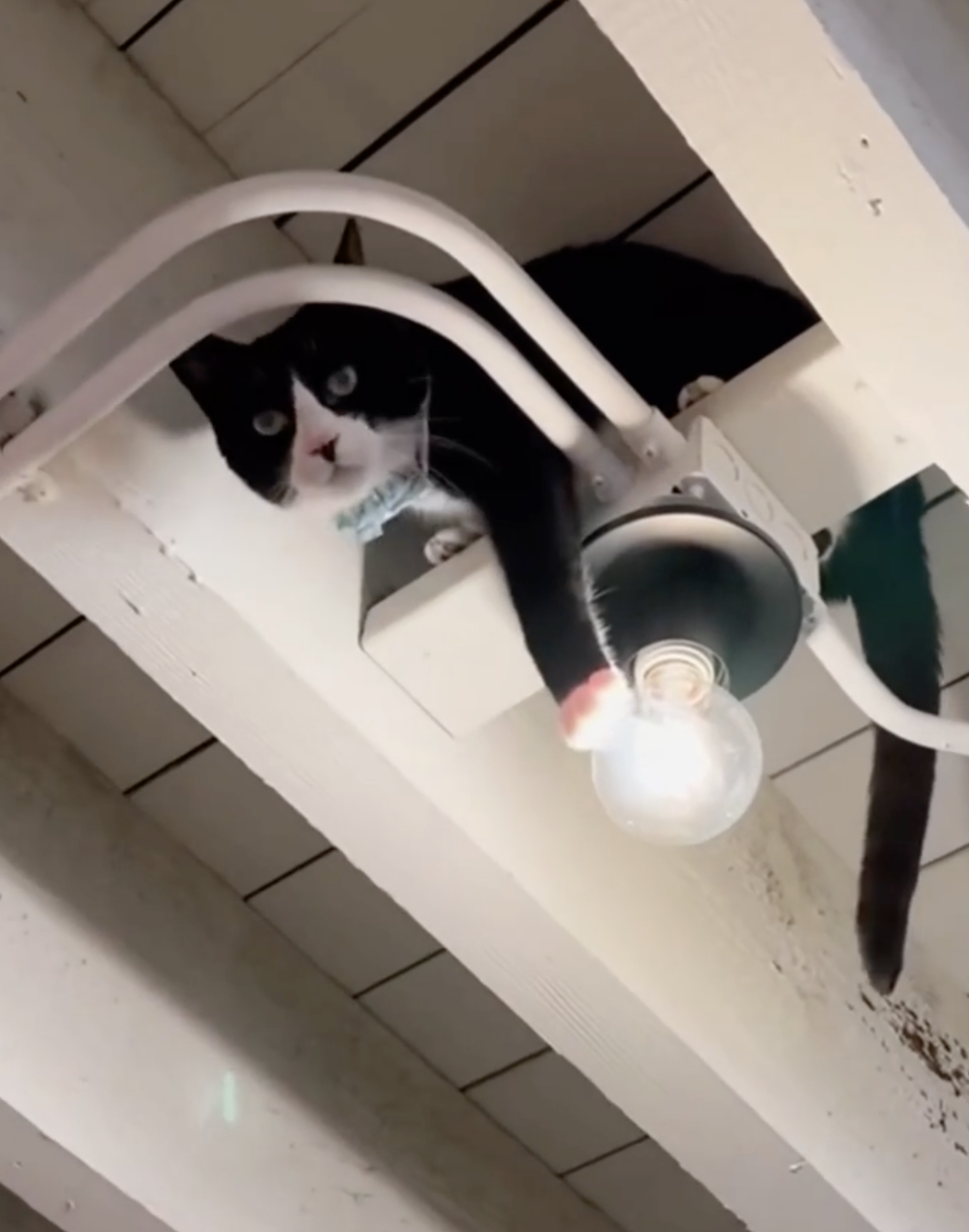 奴才：唉～好吧