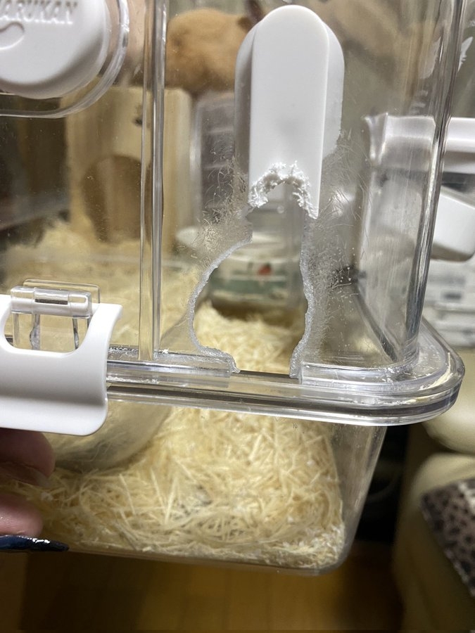 奴才：你騙誰呢！