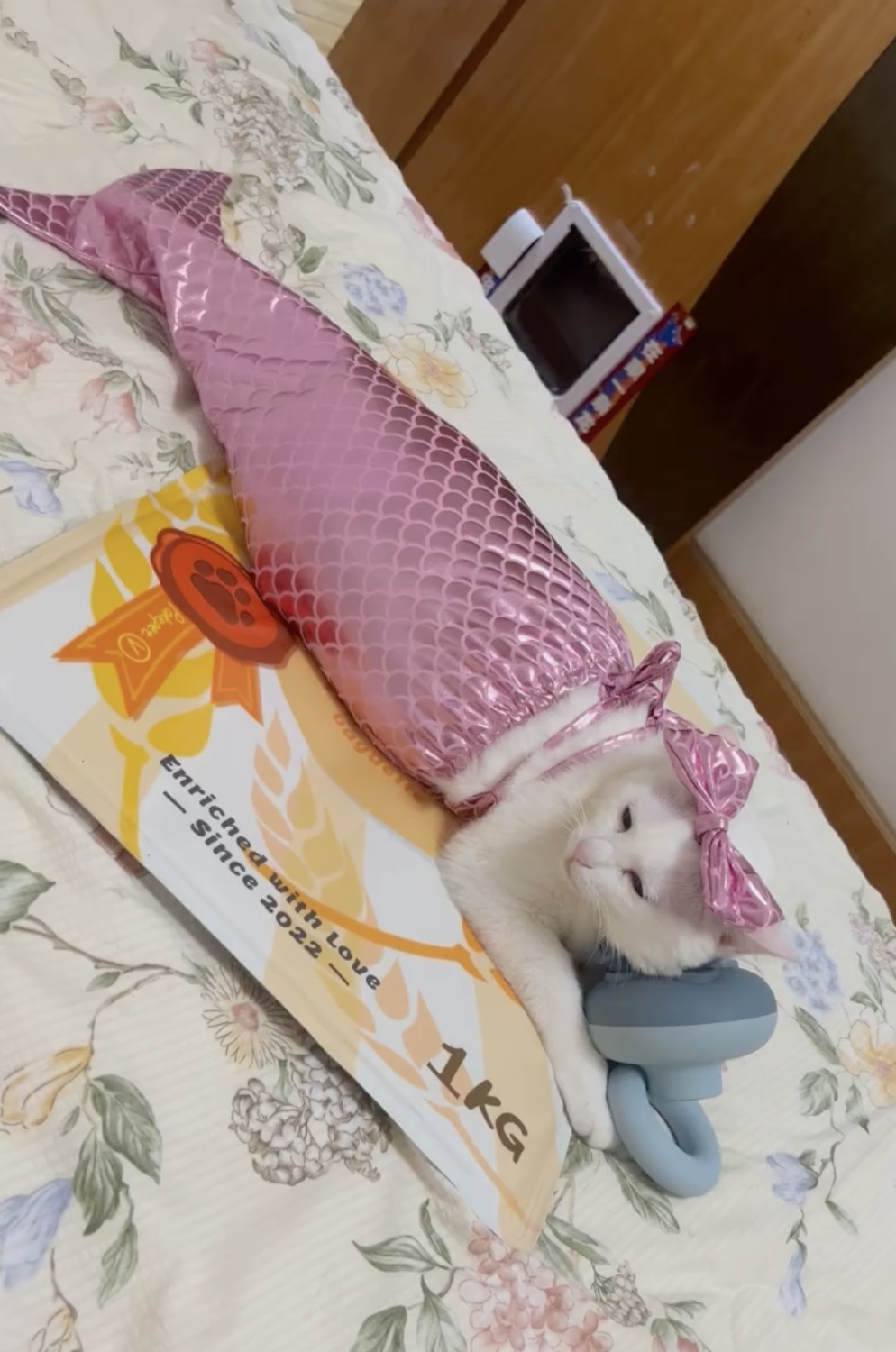 奴才：更像是美人魚了