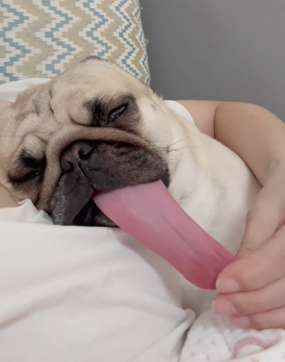 奴才：你的舌頭好有彈性喔