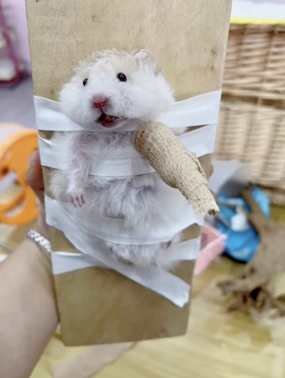 奴才：康復後就可以啦