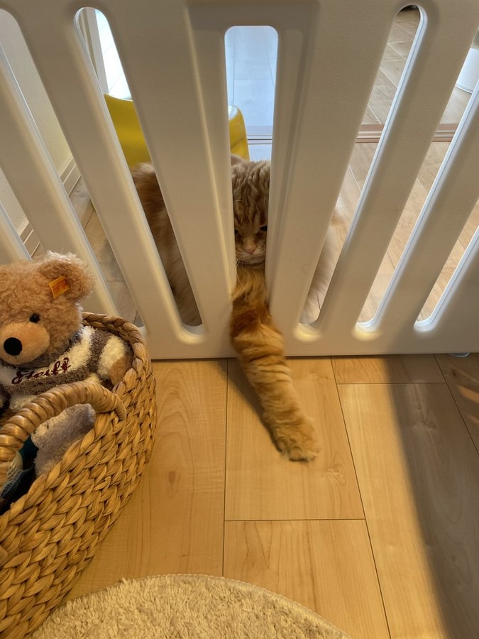 奴才：再忍一忍吧～我也很想摸摸你啊