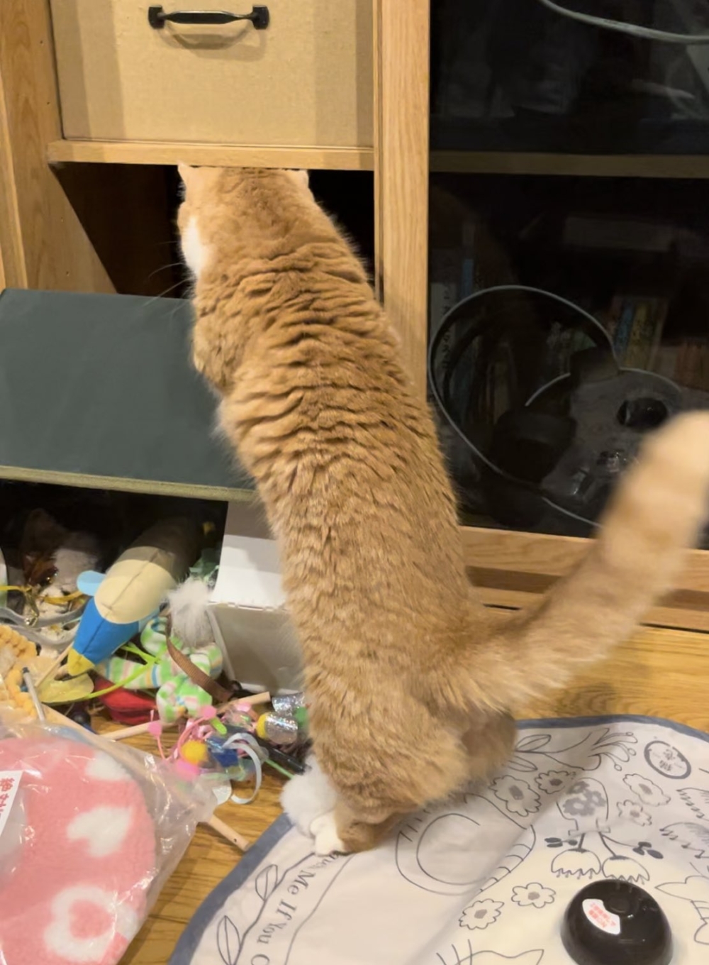 奴才：最後還不是要我來收拾