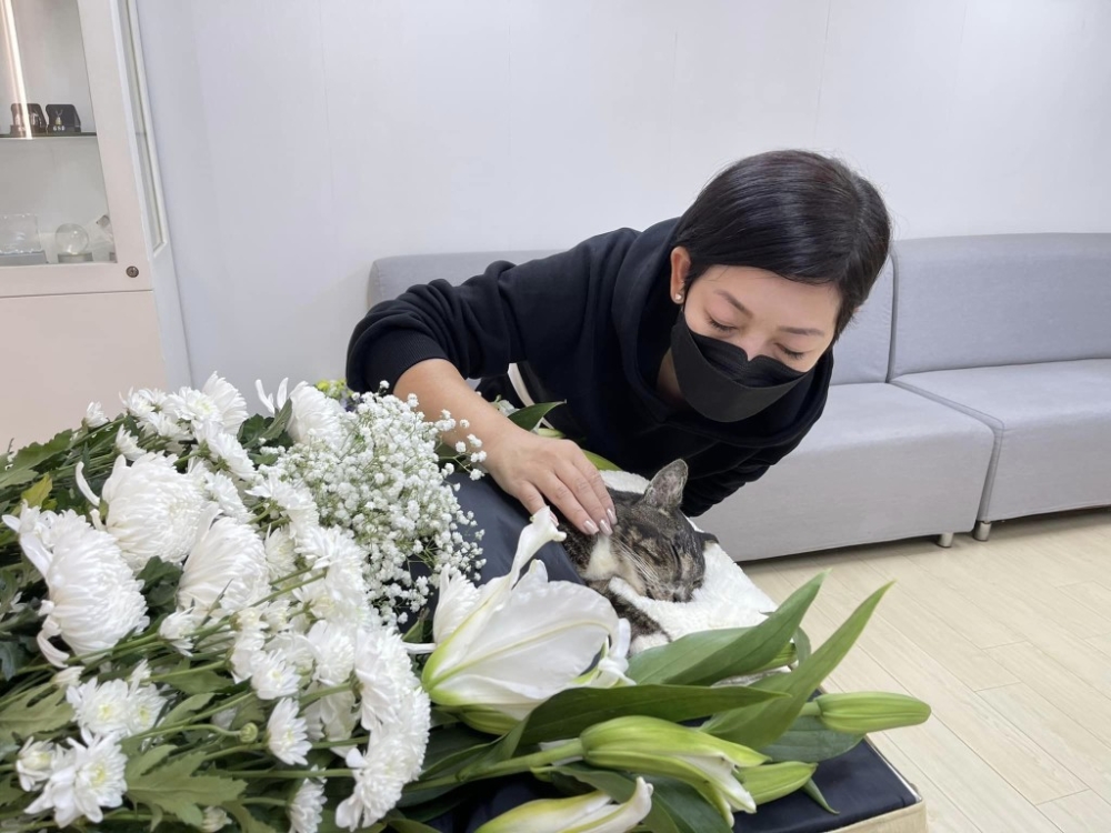 為寵物舉辦告別儀式。