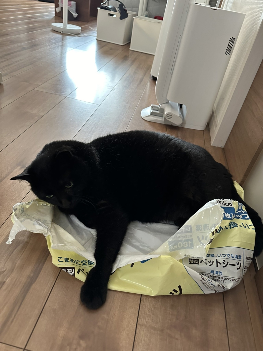 奴才：這是垃圾