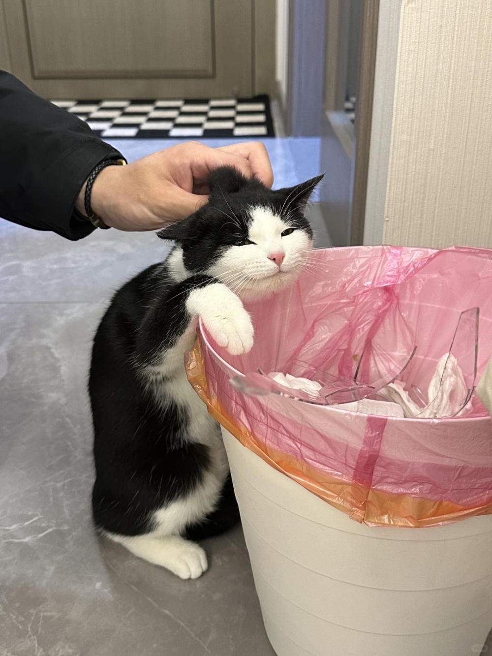 奴才：我考慮要不要原諒你囉