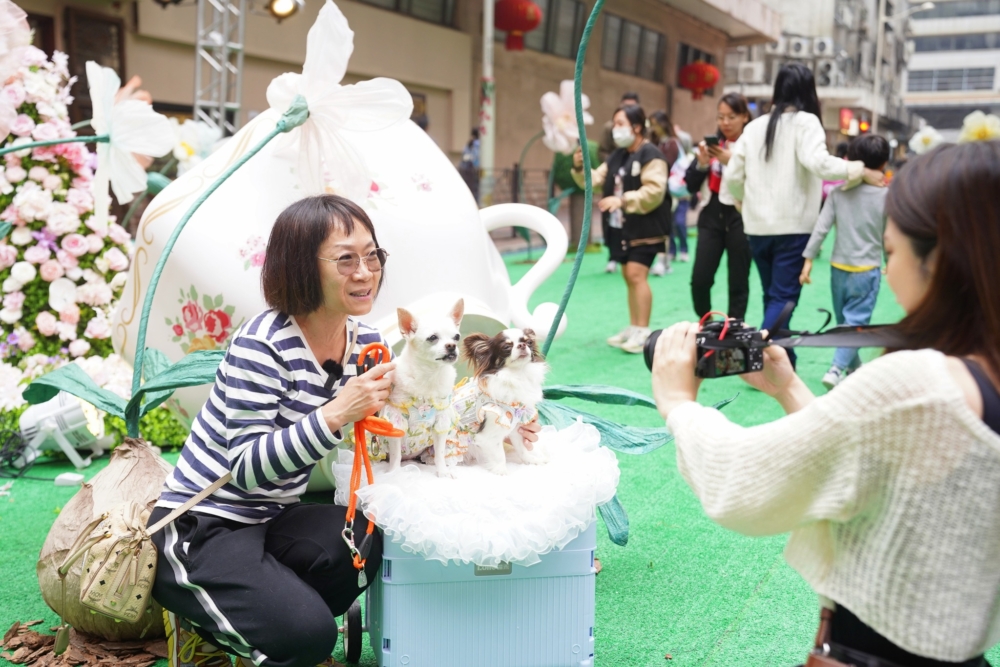 商場不時舉辦寵物嘉年華，促進主人與毛孩的感情。