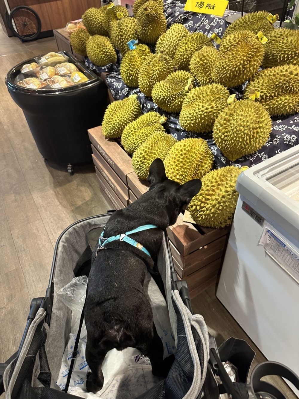 原來榴蓮不只是好吃。