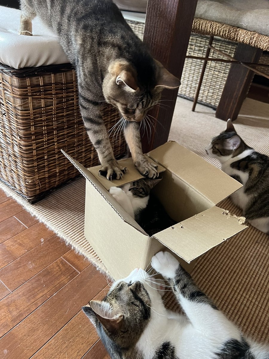 奴才：別嚇我啦