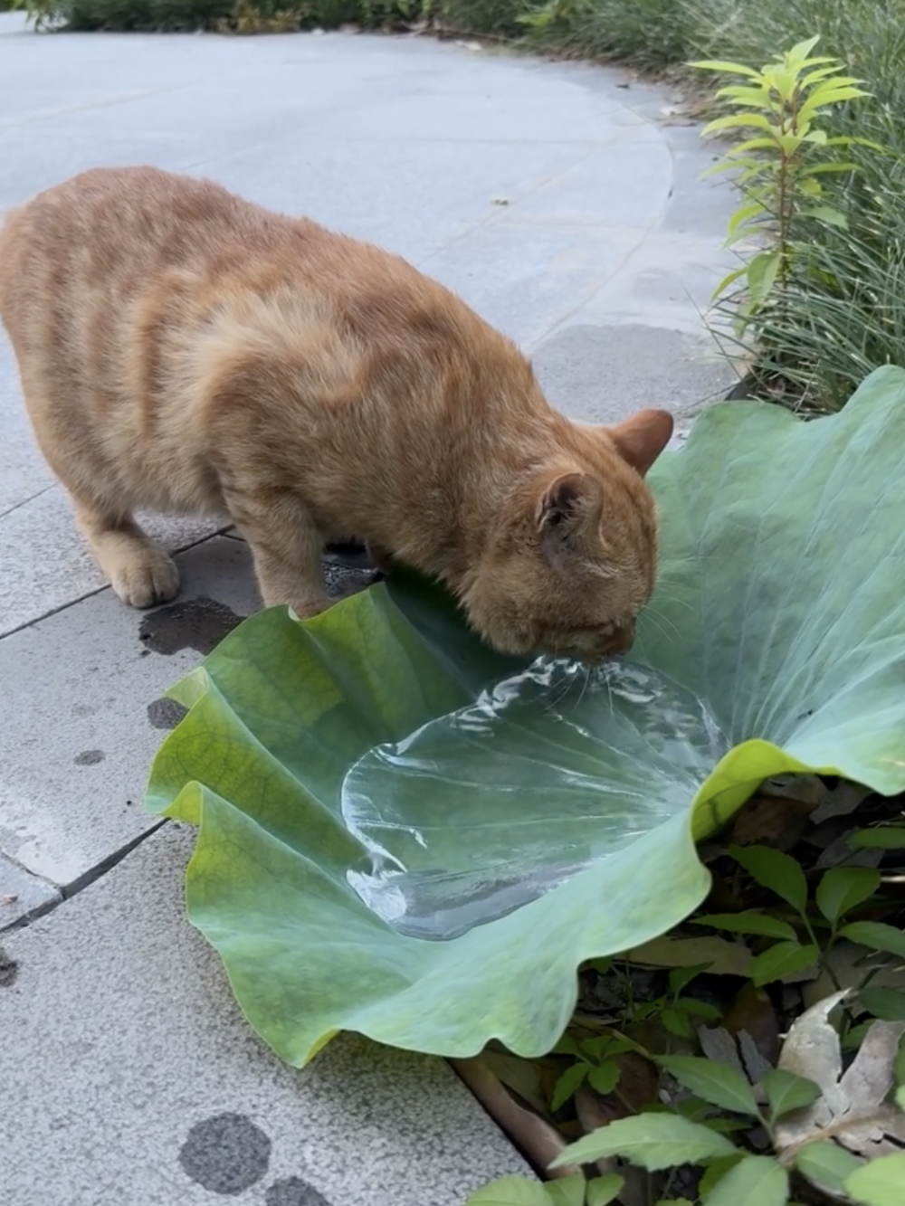 學妹：那就多喝點吧