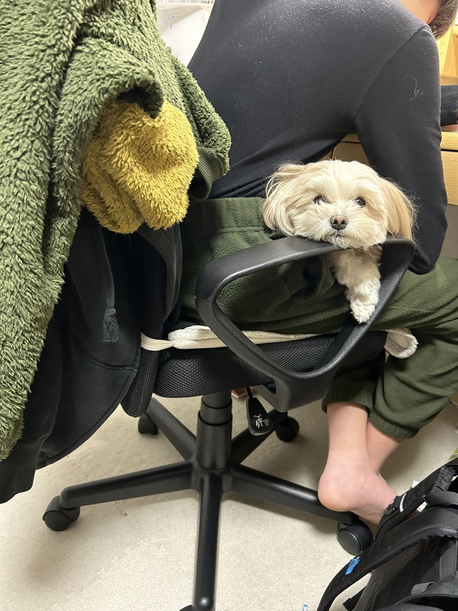 奴才麻麻：唉～他們回來了