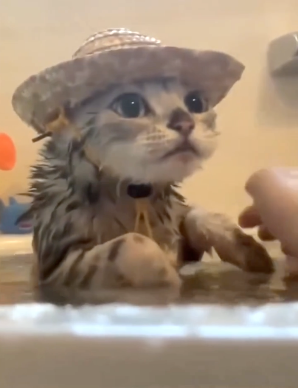 奴才：你最會享受了