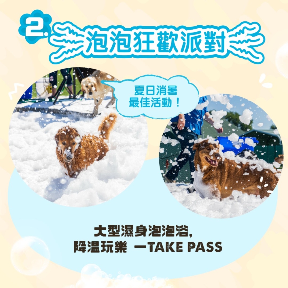 泡泡狂歡派對。