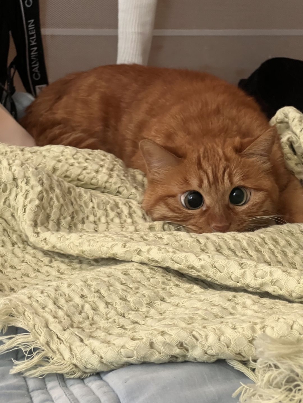 奴才：你最會說好聽話了啦