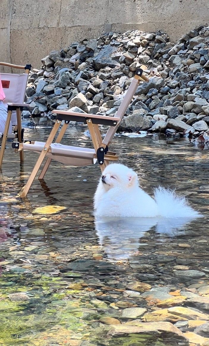 奴才：位置夠寬敞啊