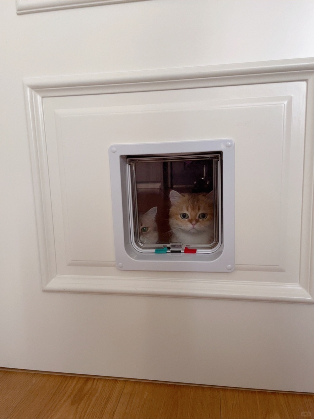 奴才：門不是用來玩的囉