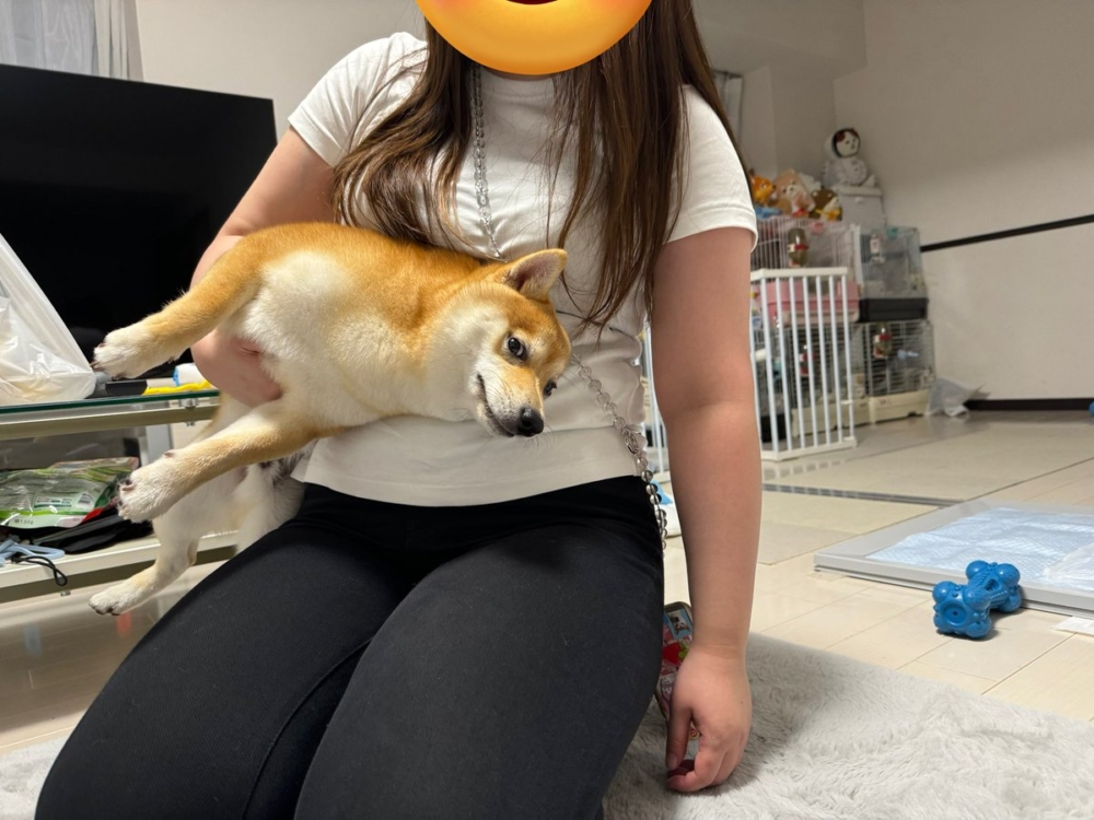 奴才：你先冷靜了再說