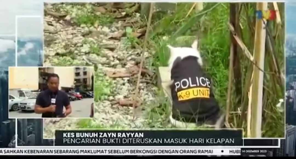 曾在案件現場直播報新聞時驚現一隻身穿穿印有「K9警犬隊」黑色背心的貓咪。