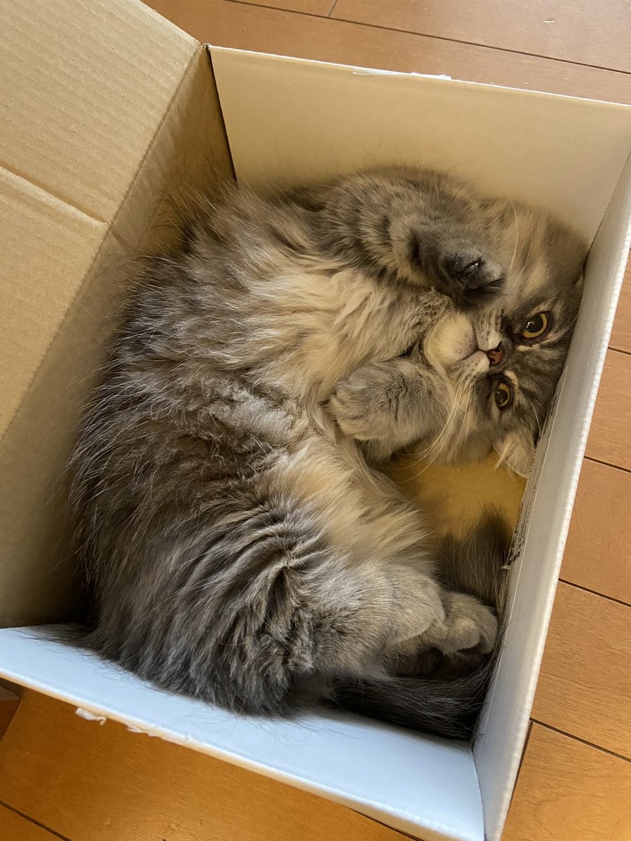 奴才：不會是來監督我的吧？