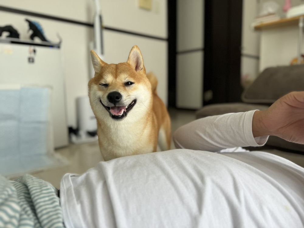 奴才：太嚇人了啦