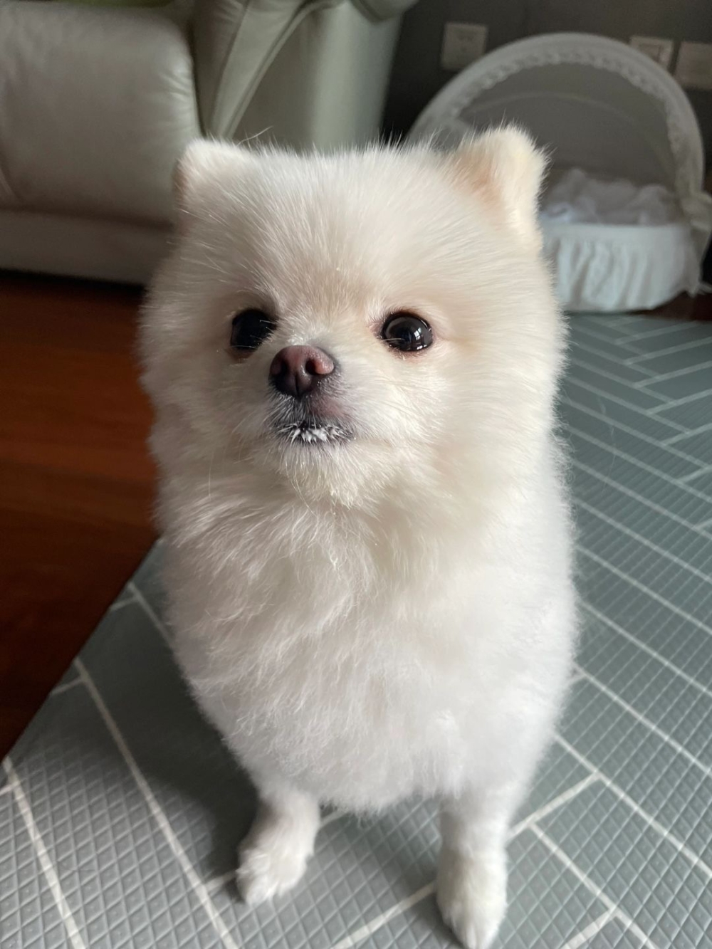 奴才：看得出你很享受啦！