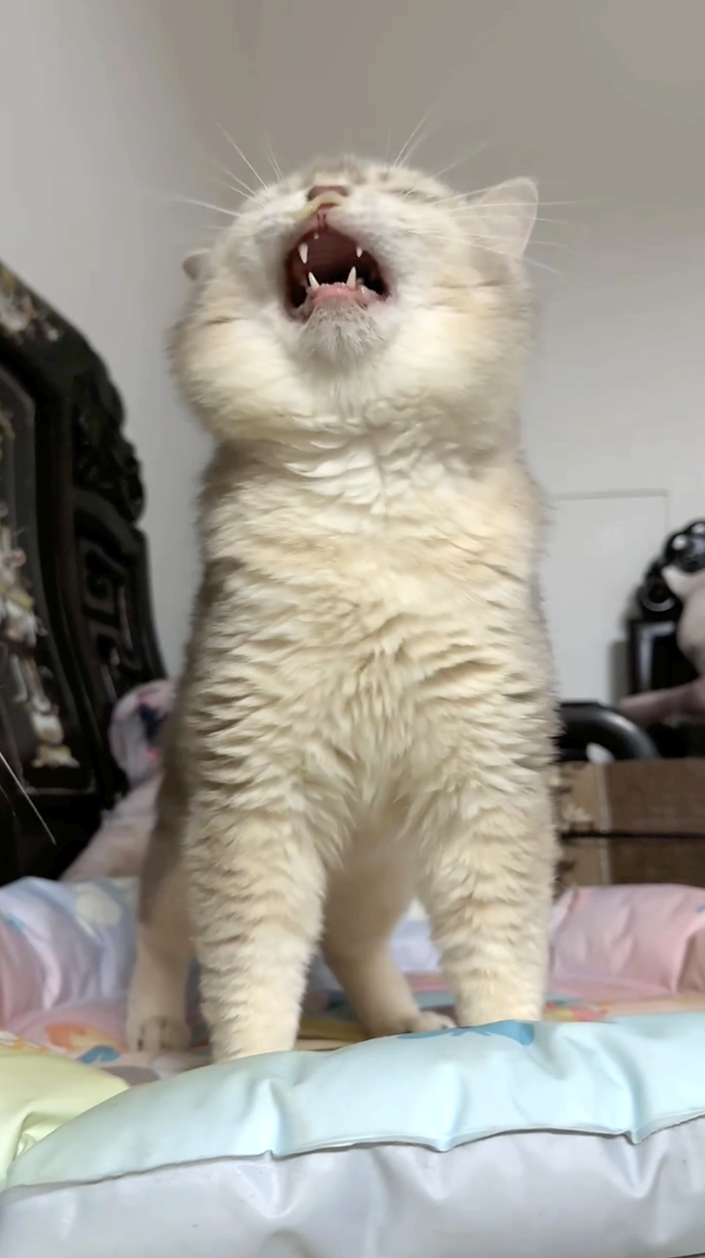 奴才：你還好嗎？