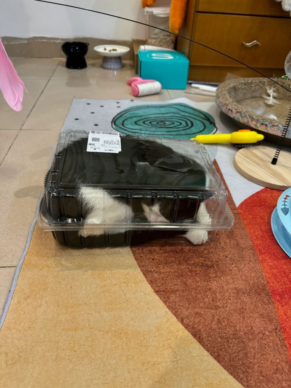 奴才：這是肯定的啦