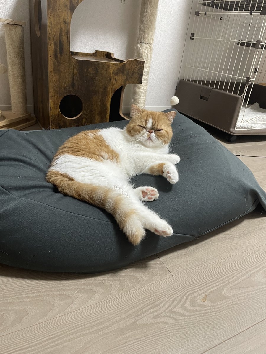 奴才：那你就繼續躺吧