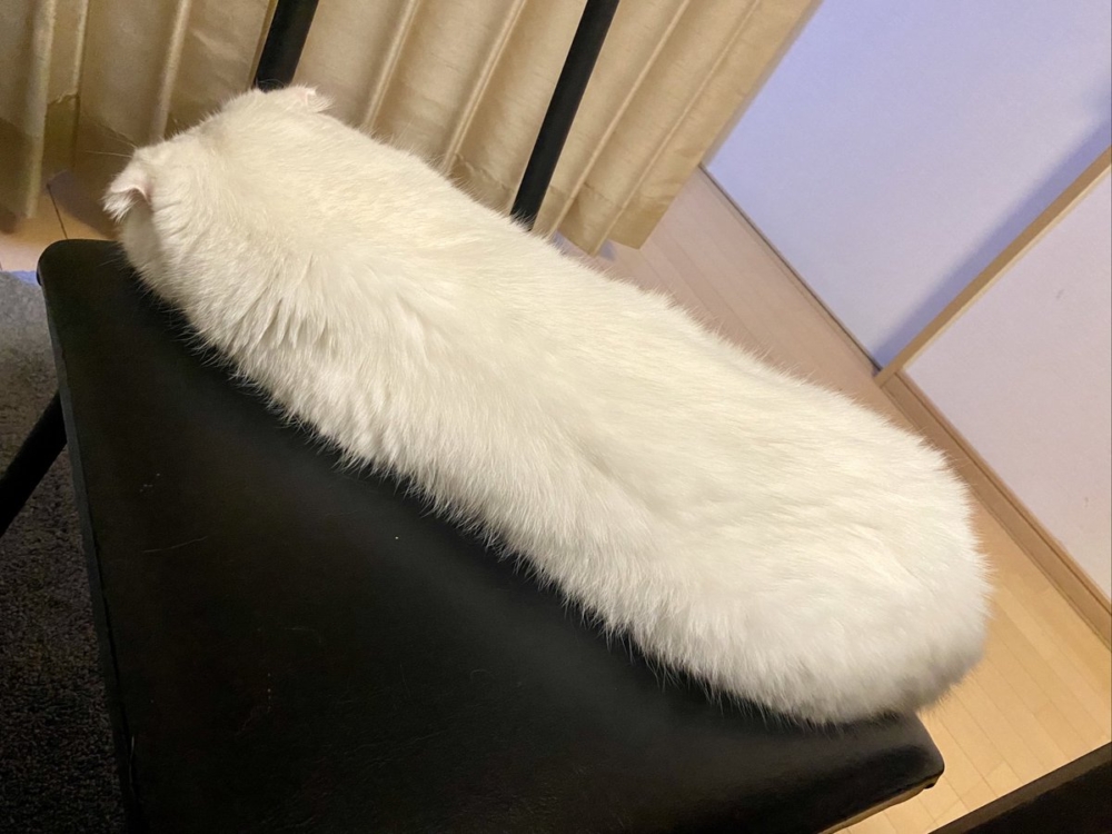 奴才：多一個也不多啦