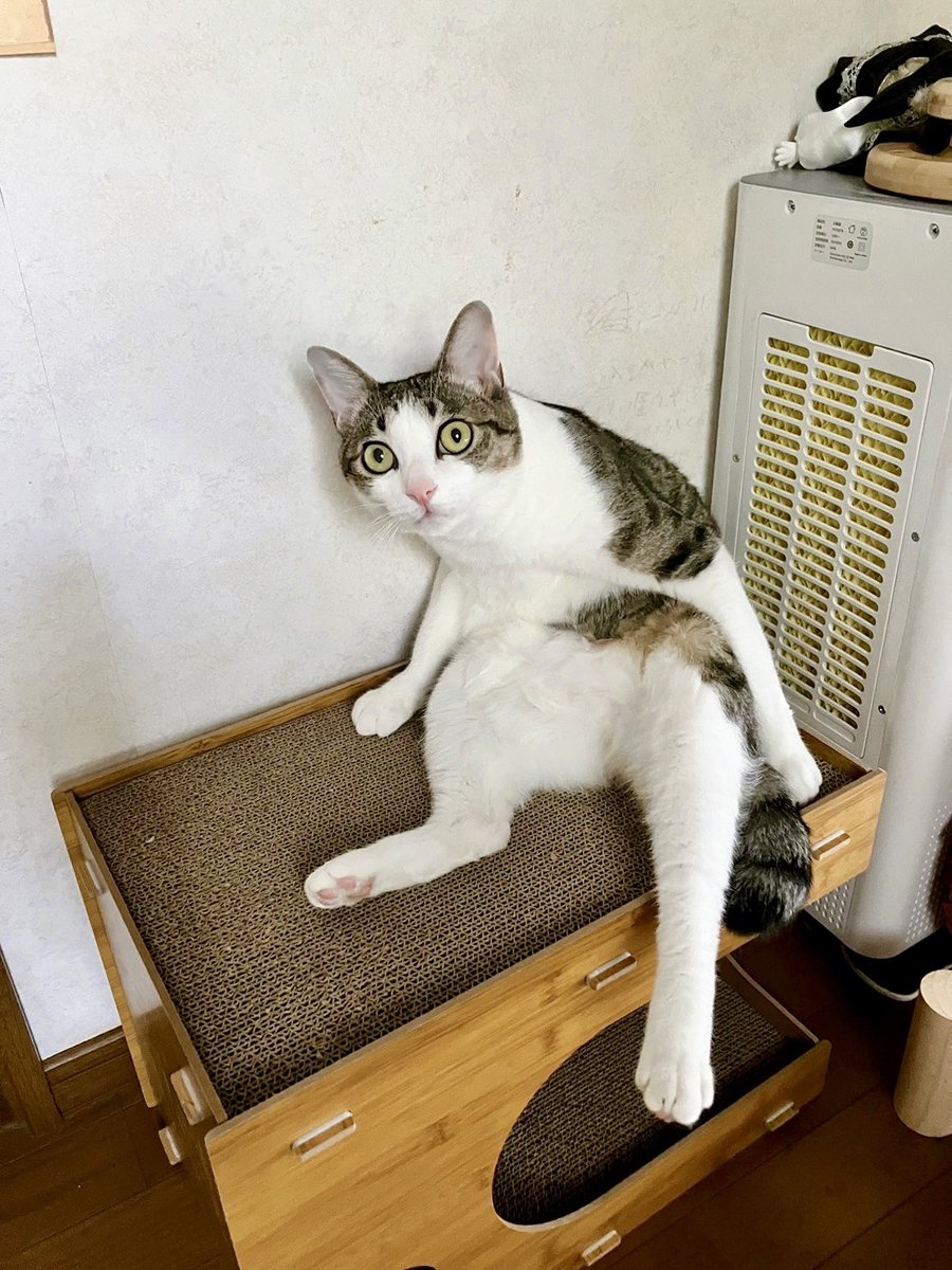 奴才：對啊，你都不想我？