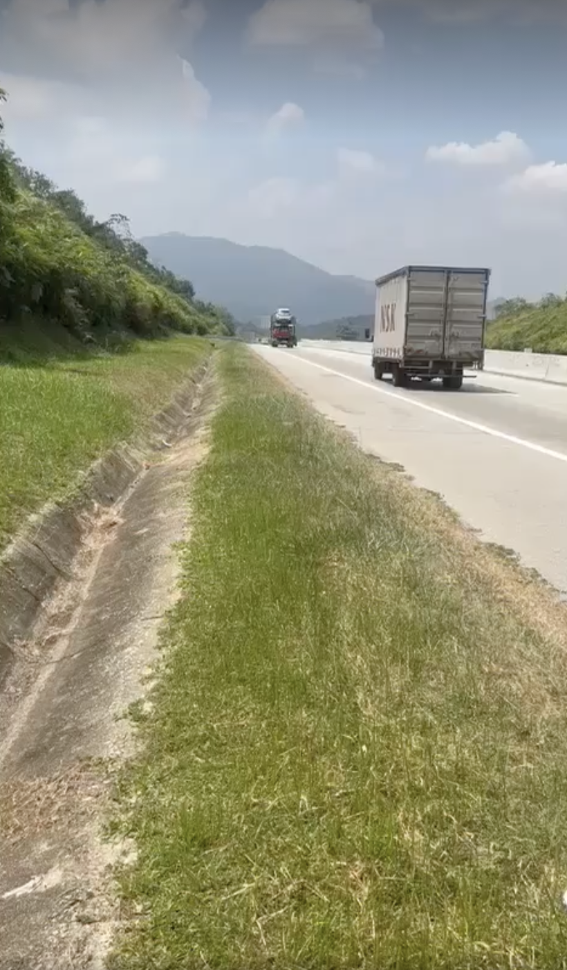 Oreo被丟棄在了高速公路上!