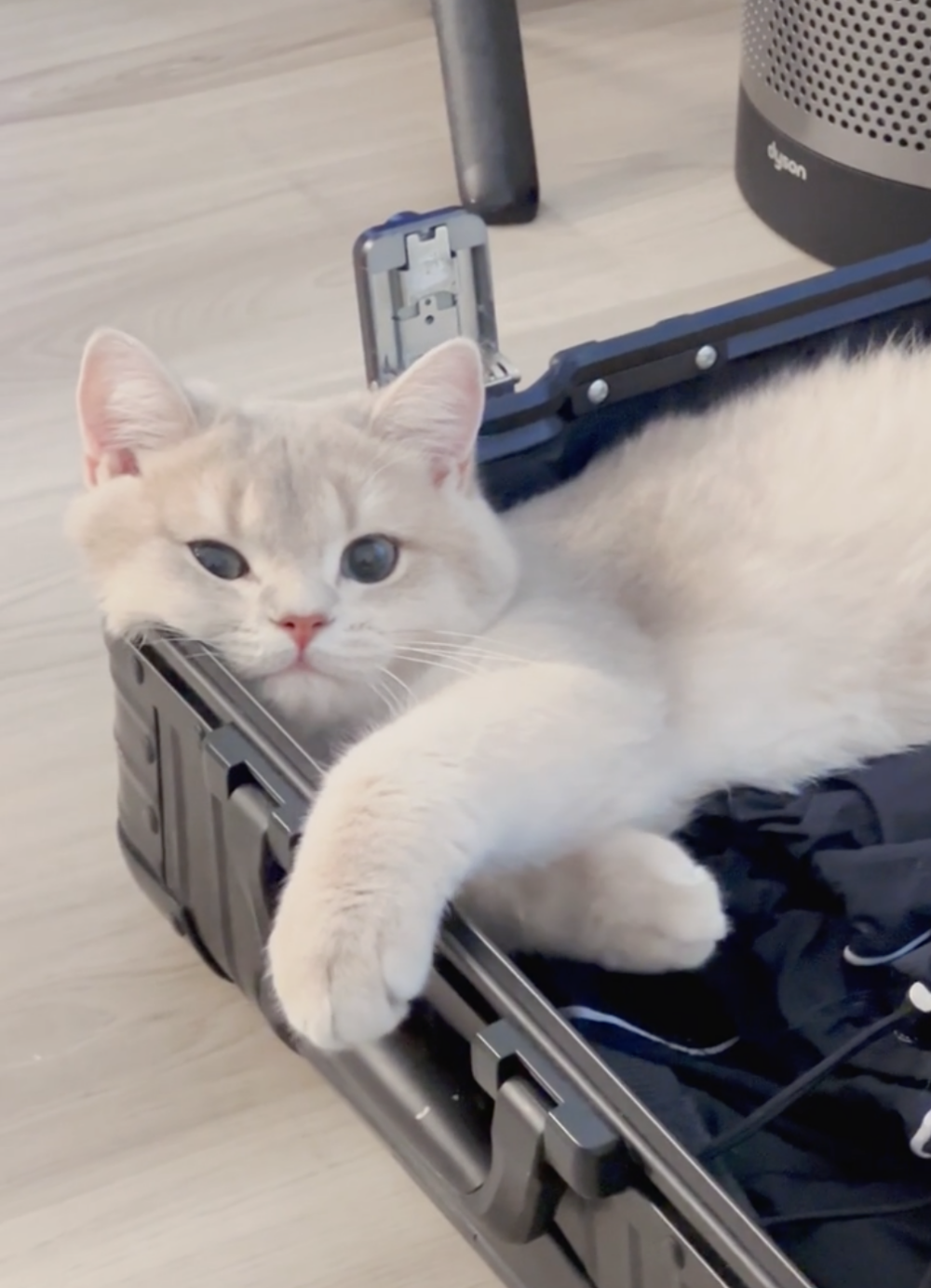 奴才：這樣我也會不捨得啦