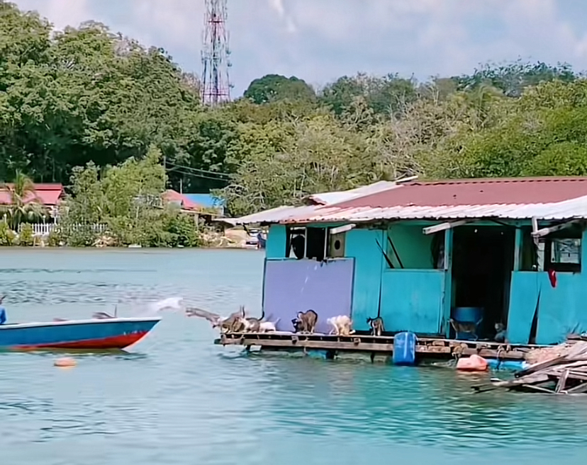 畫面好壯觀喔！