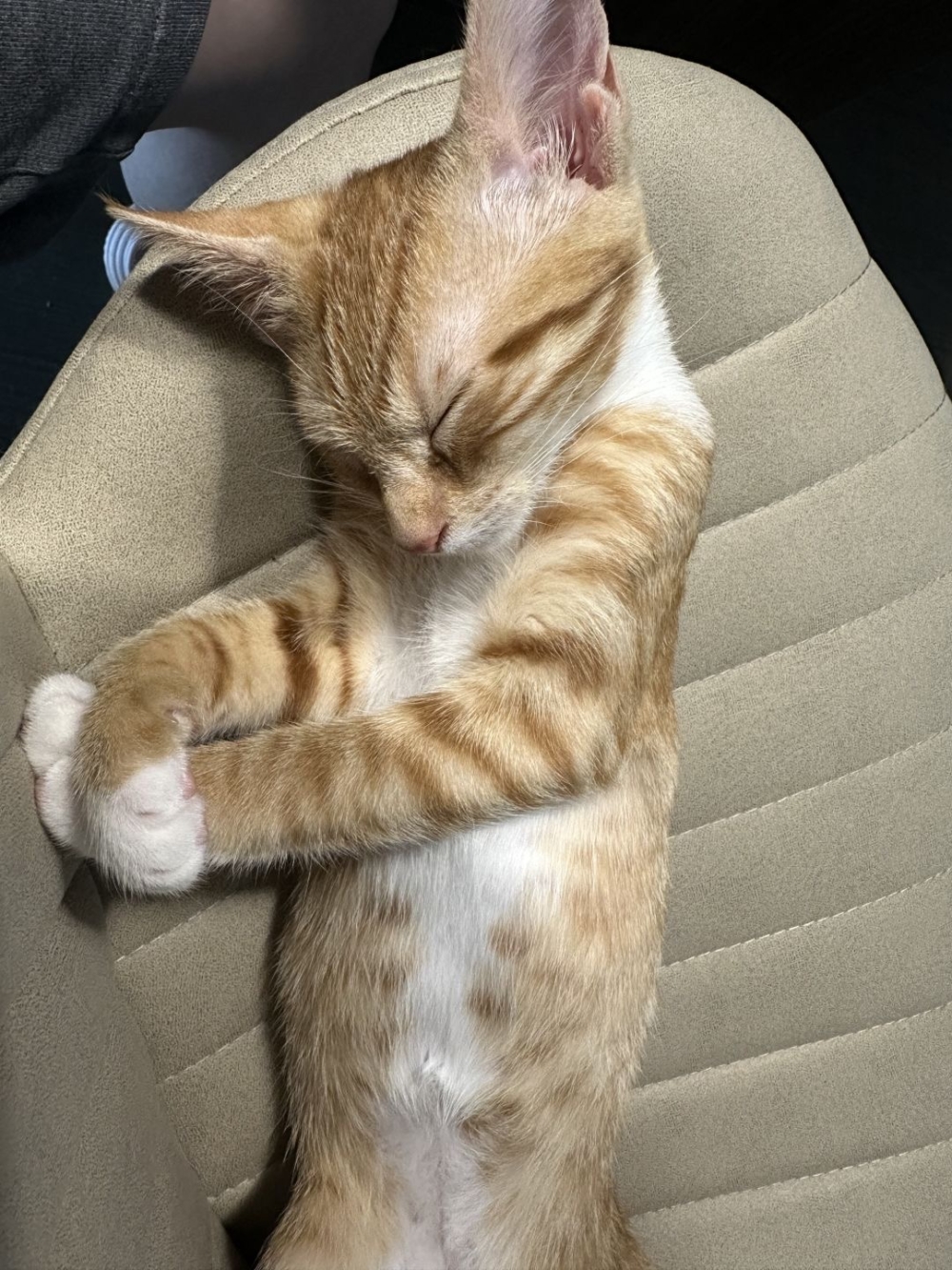 奴才：實在抱歉，我不應該開燈的