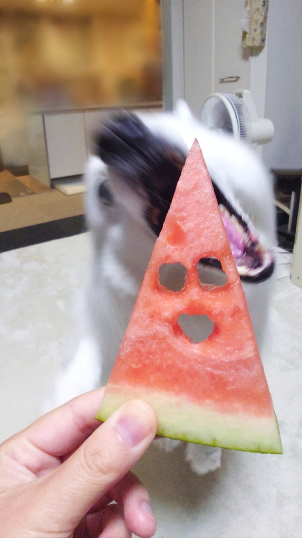 奴才：你不要太誇張