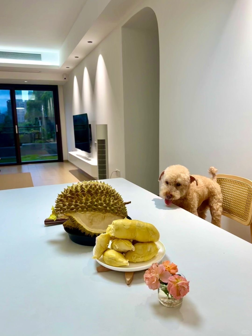 適量餵食是對狗狗有好處的!