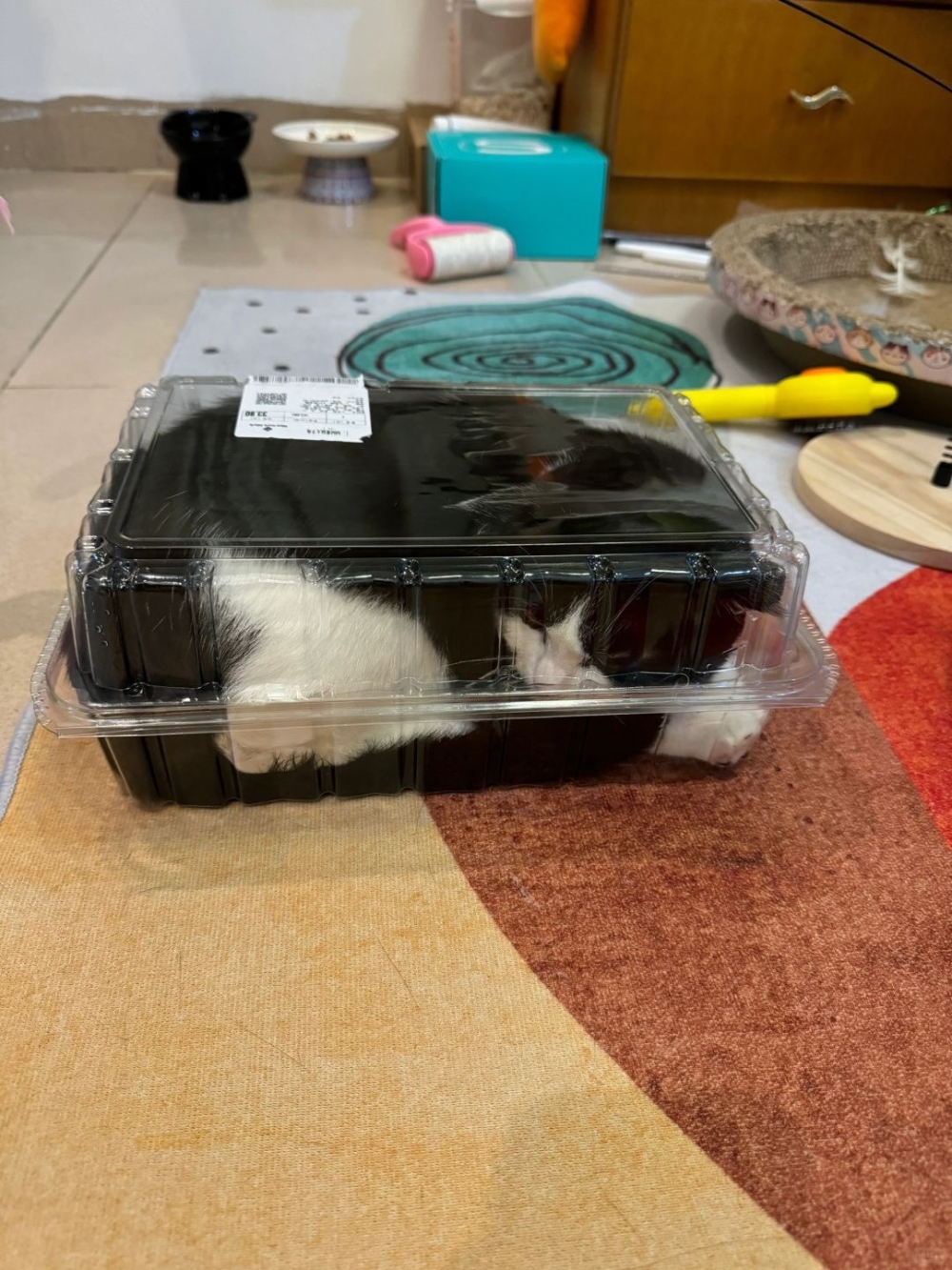 奴才：夢裡有吃飽嗎？