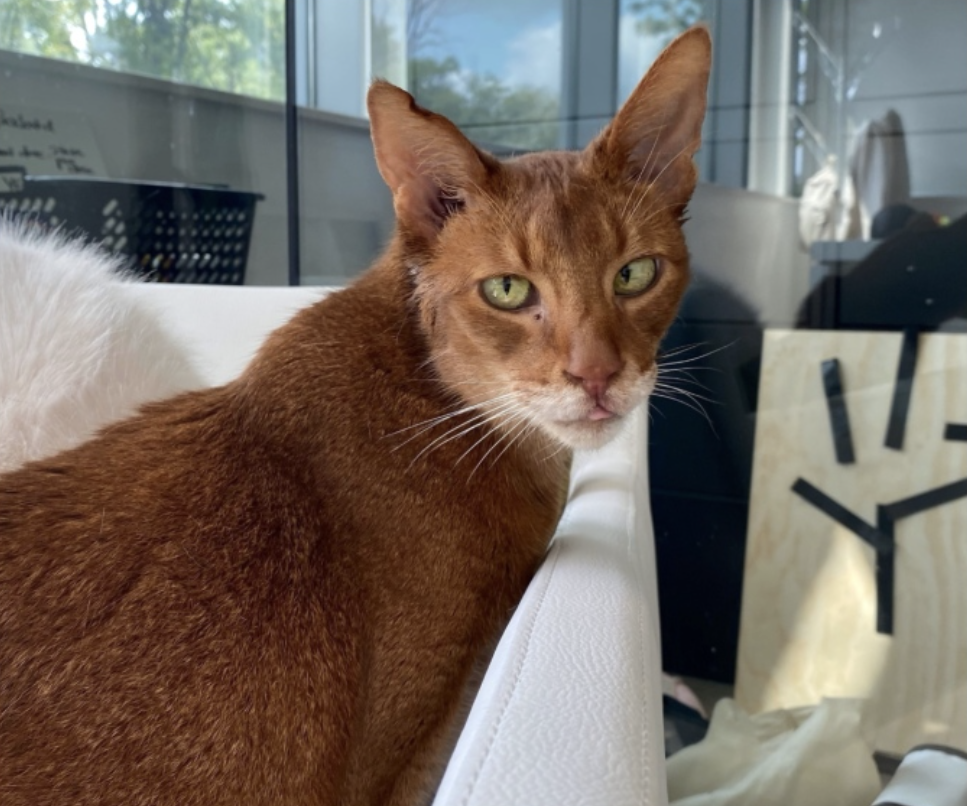 終於不用再流浪了！