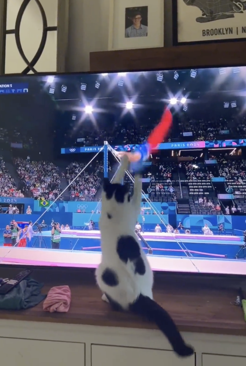 奴才：那你倒是抓抓看啊