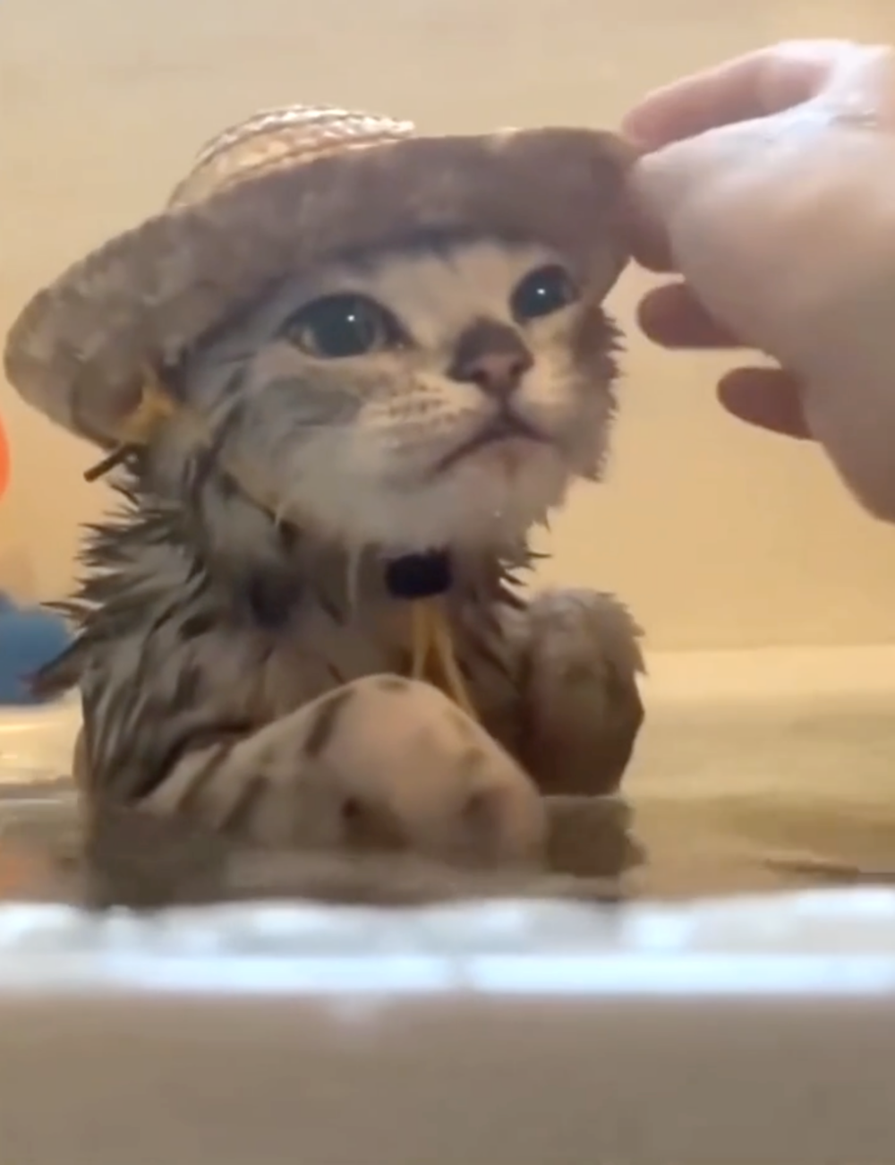 奴才：服侍你是我的責任啦