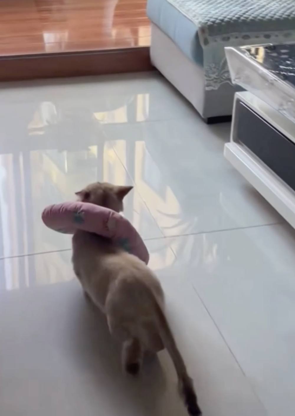 奴才：這樣感覺你不對勁