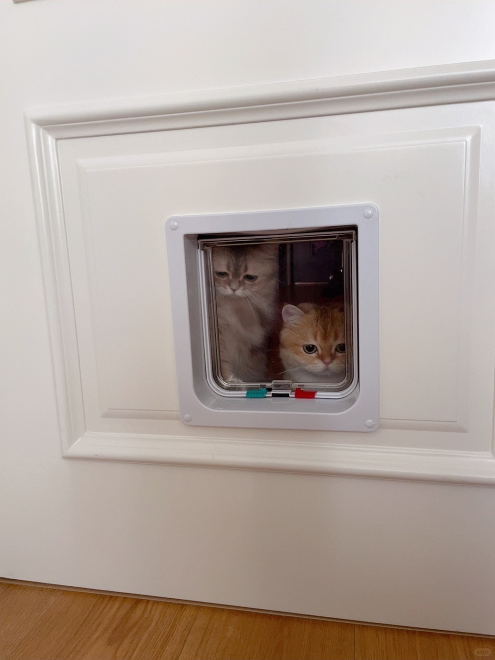 奴才：自己想一下吧