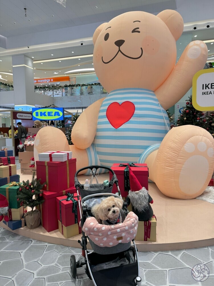 東港城允許寵物進入，但就必須坐寵物車、入袋或由主人手抱。